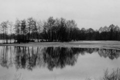 1962