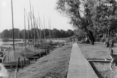 1968
