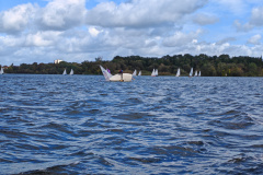 IMG_20240928_112109