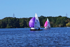 IMG_20240929_105014