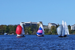 IMG_20240929_105028