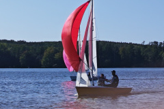 IMG_20240929_105110