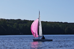 IMG_20240929_105118