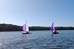 IMG_20240929_105155