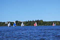 IMG_20240929_105557