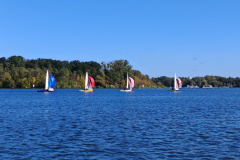 IMG_20240929_110546