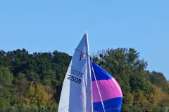 IMG_20240929_110859