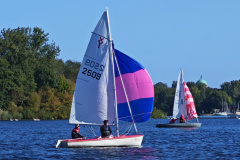 IMG_20240929_110904