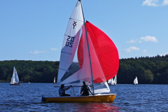 IMG_20240929_111706