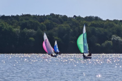 IMG_20240929_111933