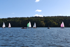 IMG_20240929_112542