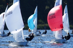 Saubuchtrennen 2018