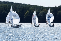 1809_Saubuchtrennen2018_1001