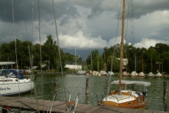 Torte256