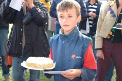 Torte290
