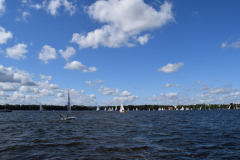 DSC_0207-scaled